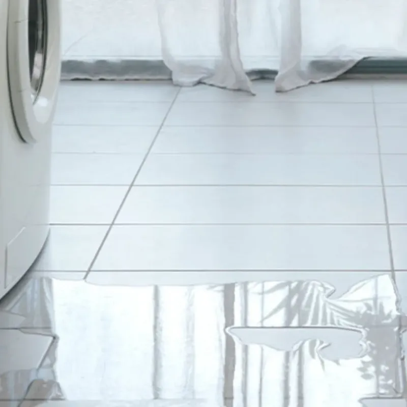 Appliance Leak Cleanup in Jasper County, MS