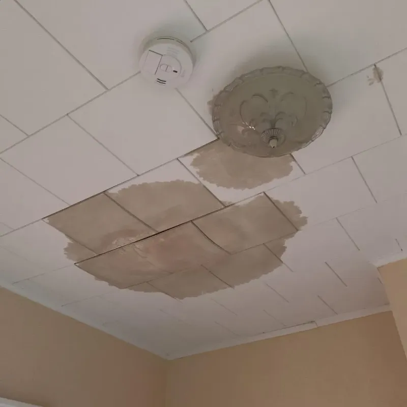 Ceiling Water Damage Repair in Jasper County, MS
