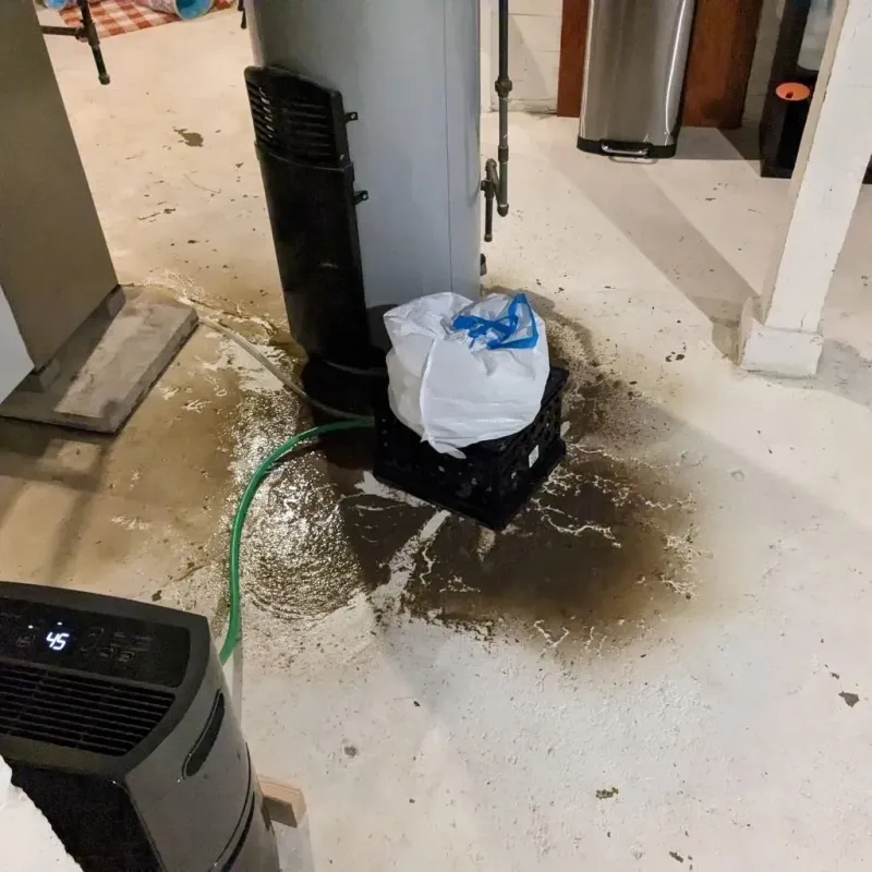 Sewage Backup Cleanup Service in Jasper County, MS